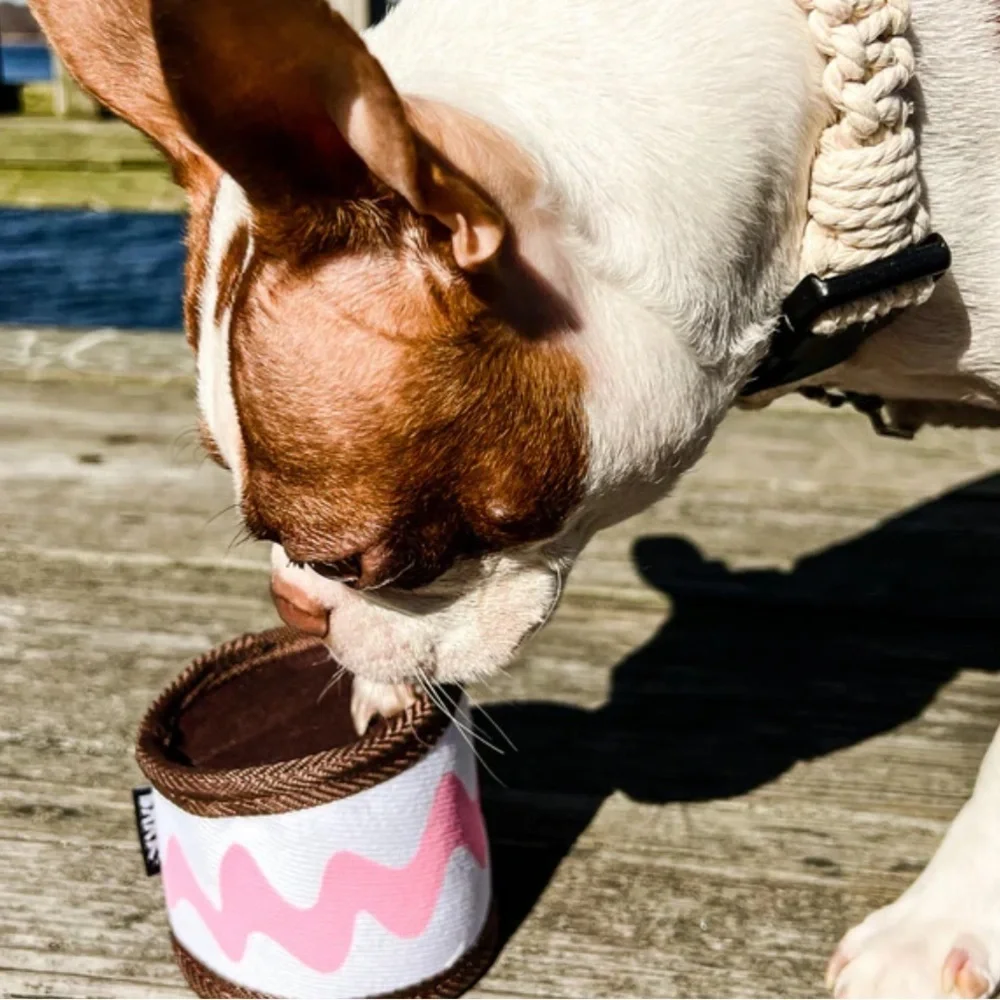 BarkBox SuperChew Ice cream Sandwich